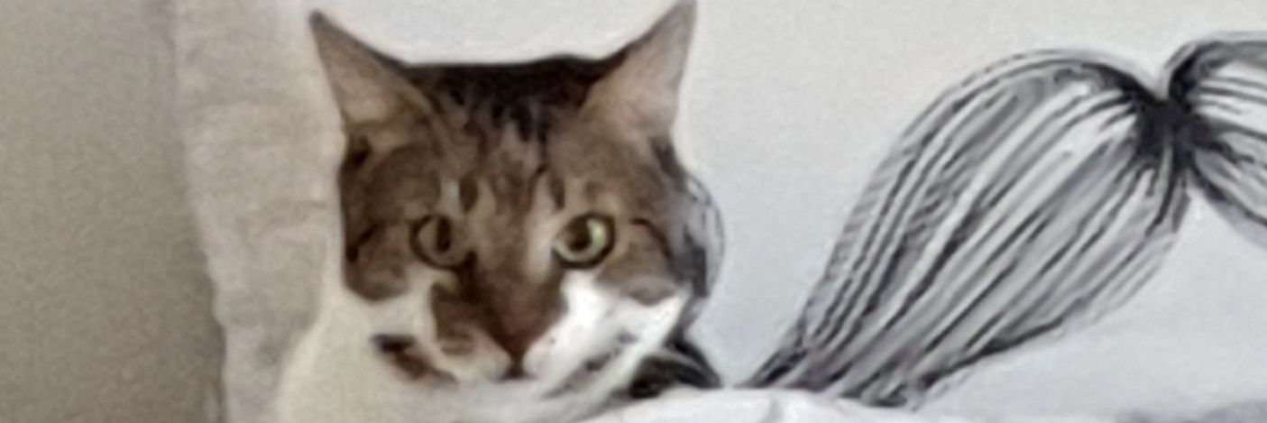MrKamore's profile banner image