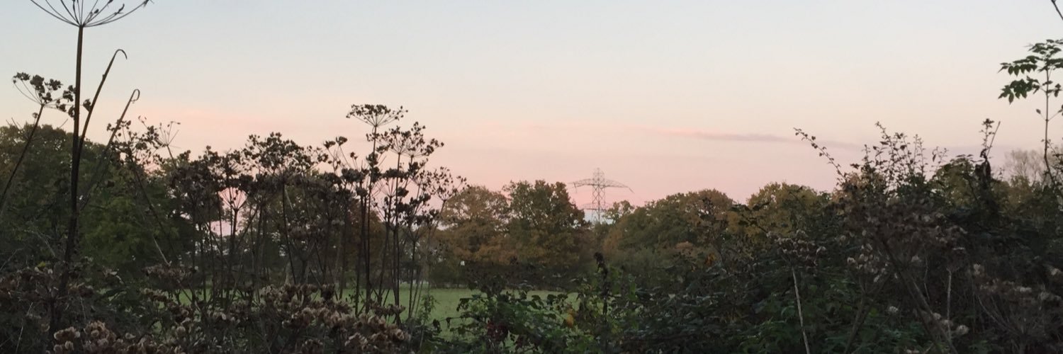 benfoxhall_'s profile banner image