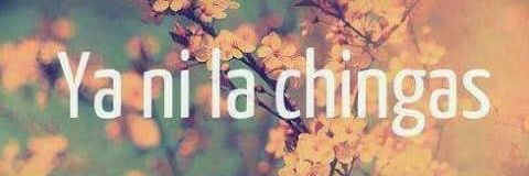 BetyChavz's profile banner image