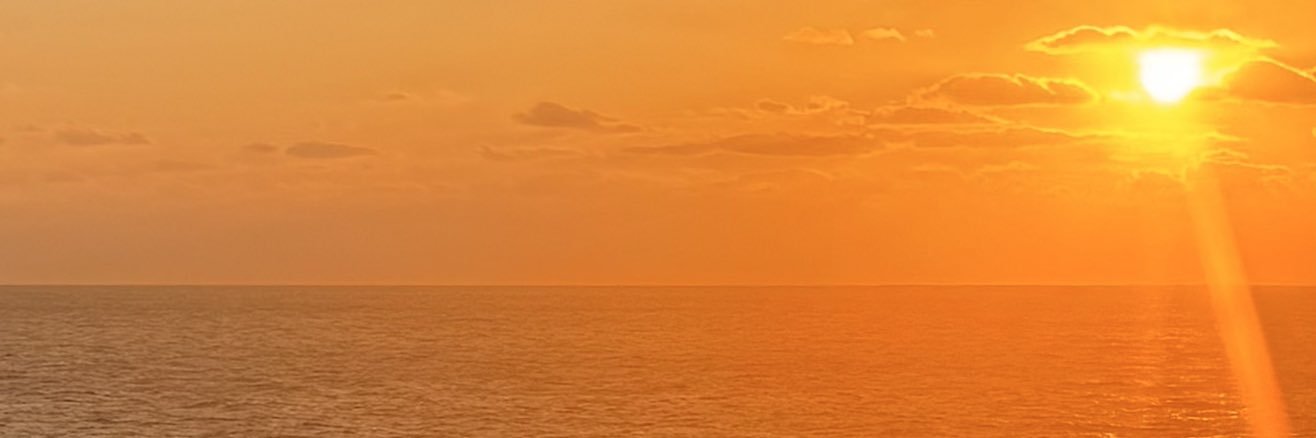 _poisonia's profile banner image