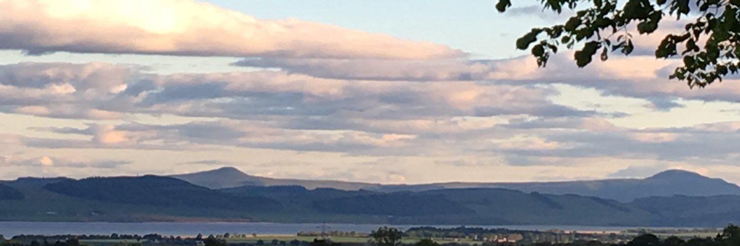 Carol Prokopyszyn 🐝🇺🇦 banner