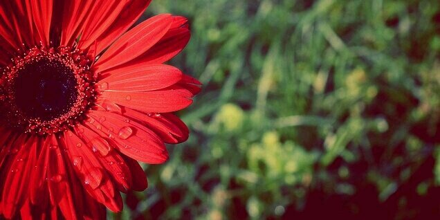 rintanbestari's profile banner image