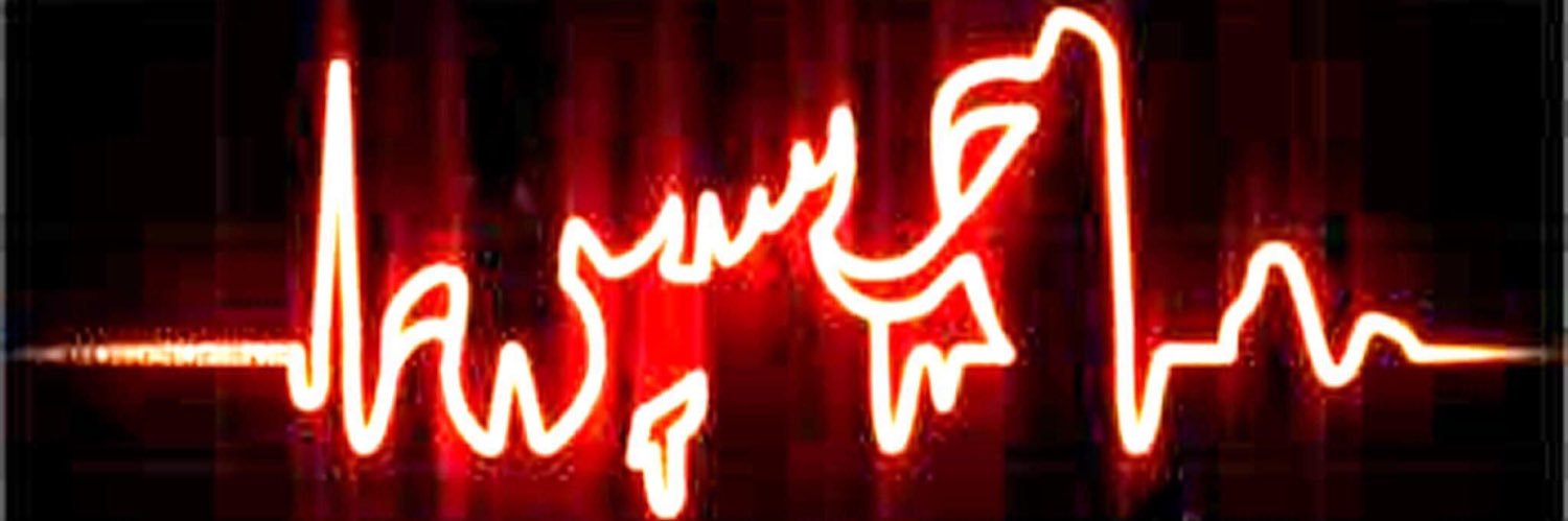 ph_AliRaad's profile banner image
