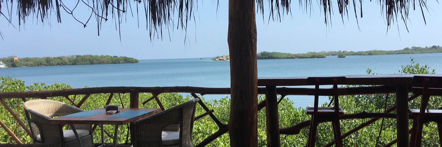 José Rafael Flores C banner