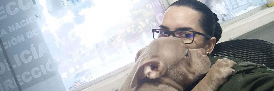 leidyferrin's profile banner image