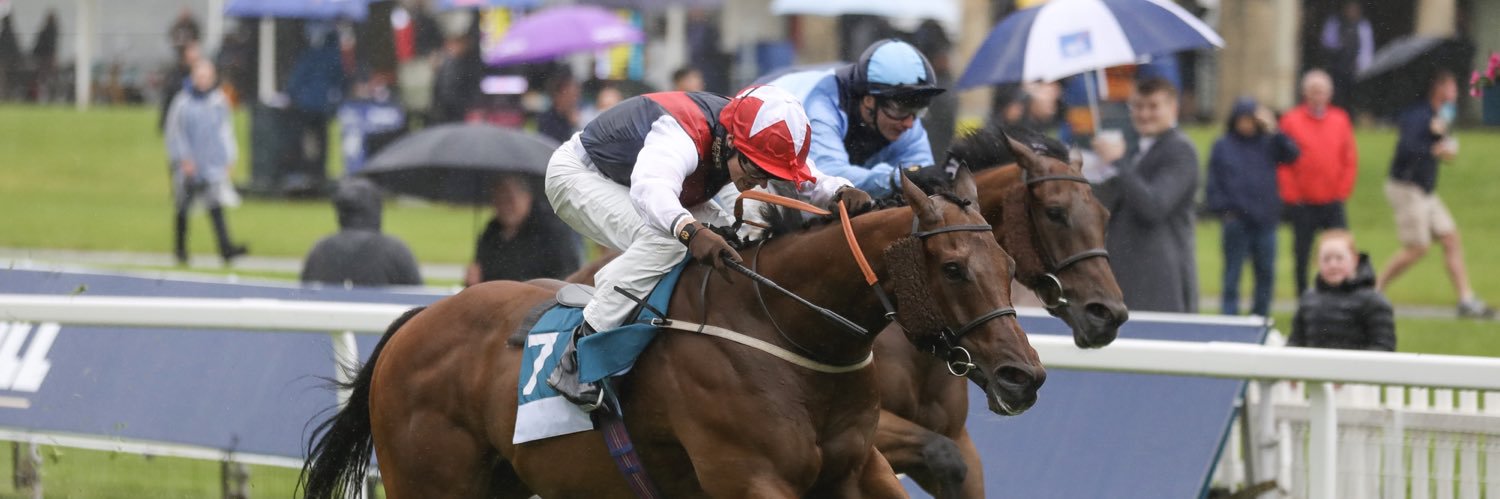 Tom Denham 🏇 banner