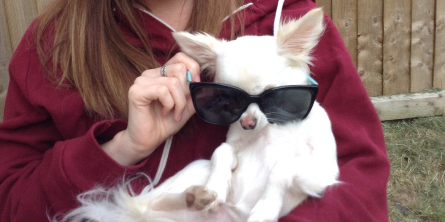 Dale Lambrick banner