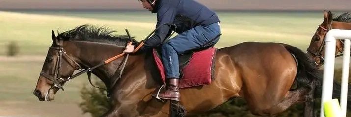 LeeAnn @ Mrs Blacks banner