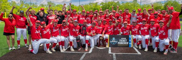 DU_Baseball Profile Banner