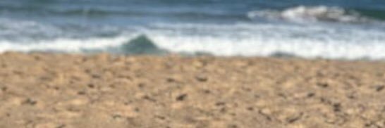 sheii_ma's profile banner image