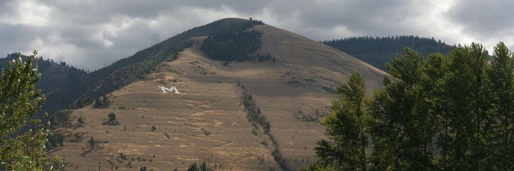 Montana Son banner