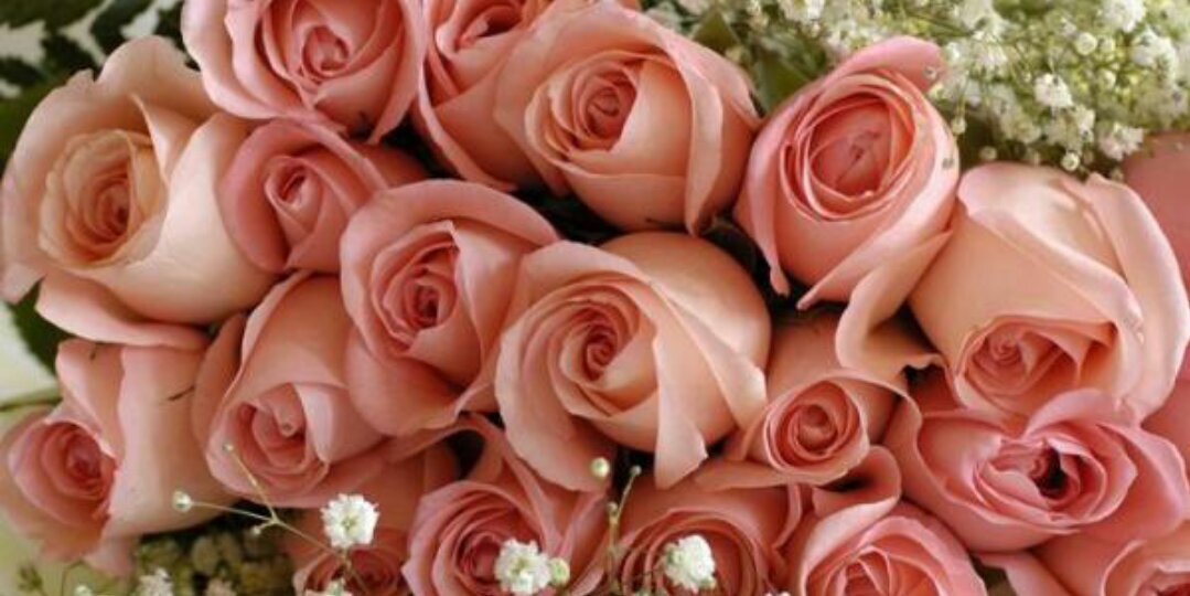 mudi_z's profile banner image