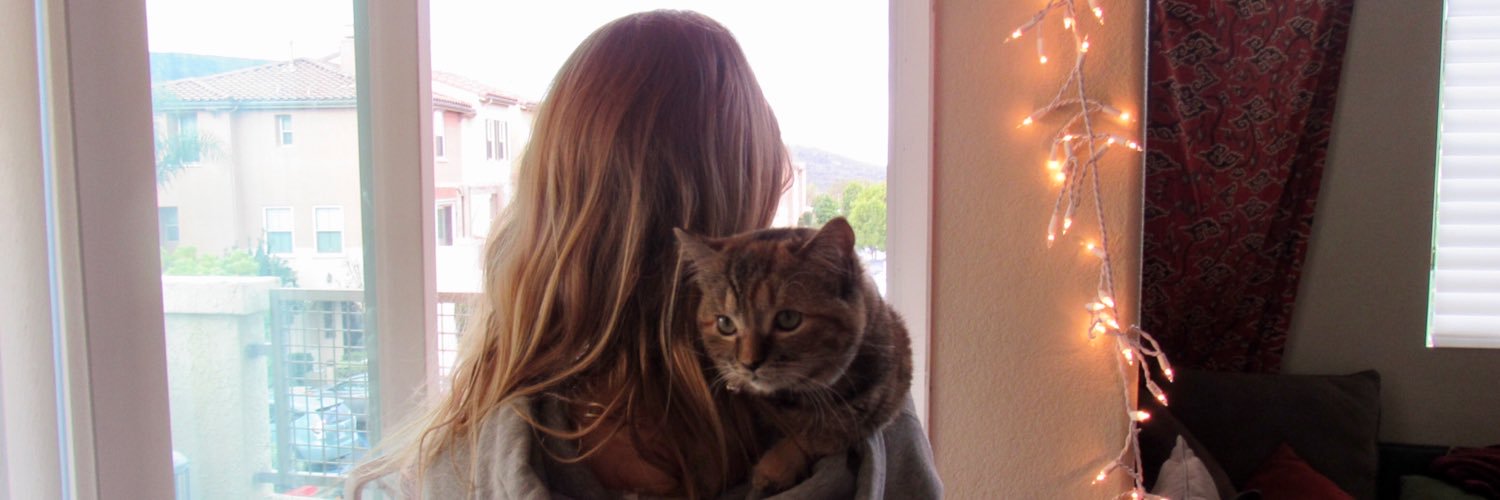 bbymorg's profile banner image