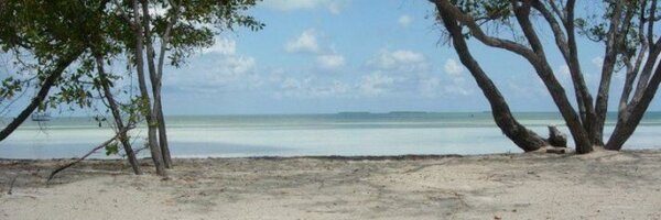 Meidas_Michelle Profile Banner