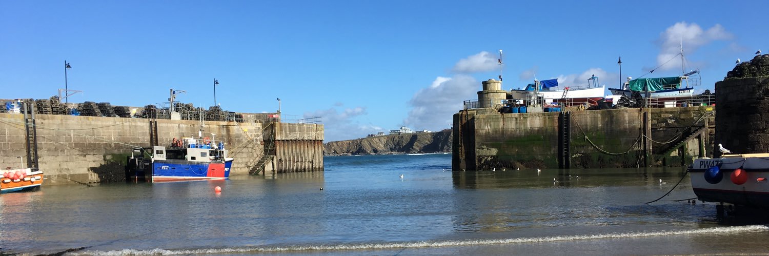 Jane Griffiths banner