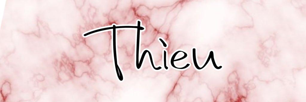 Thieu banner