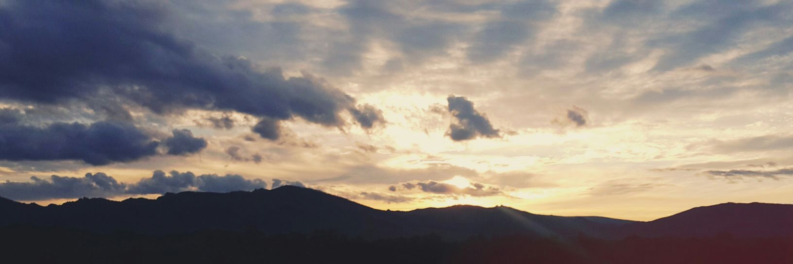 choisaki_'s profile banner image