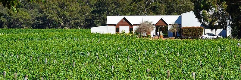 Upper Reach Winery banner