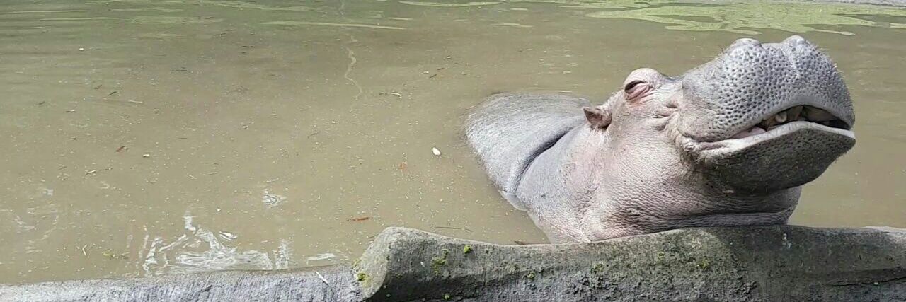 Hellena Yoranita Souisa, PhD banner