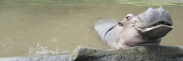 sweethellena Profile Banner