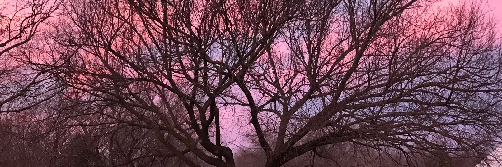 DavidHannaman's profile banner image