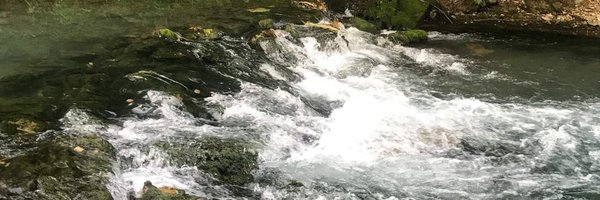 therealmudddawg Profile Banner