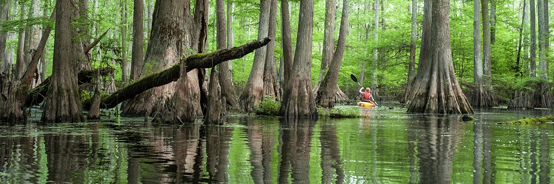 Arkansas Game and Fish Commission banner