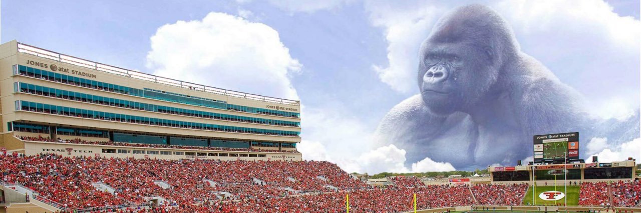 jbbidwell's profile banner image