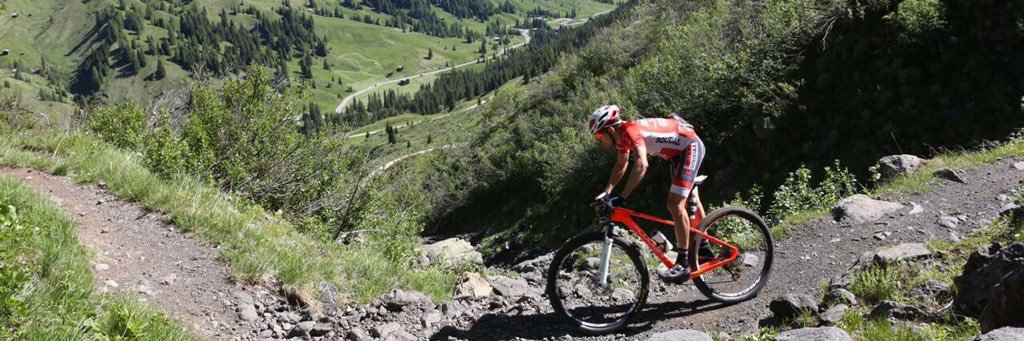 Cristian Cominelli banner