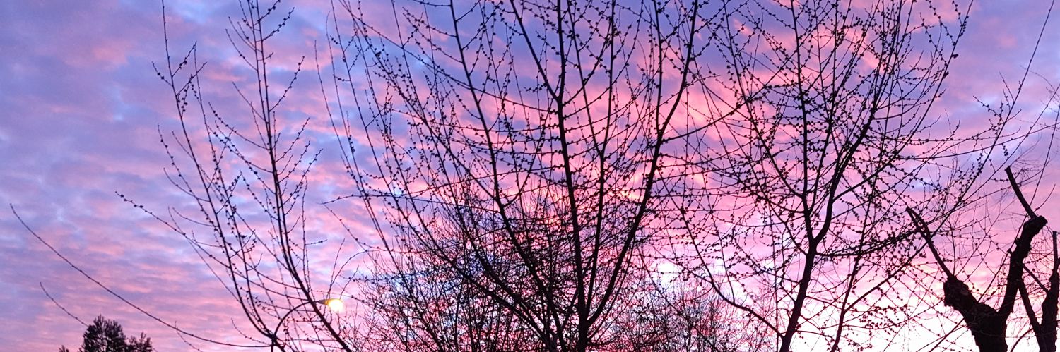AnabelNavarroM's profile banner image