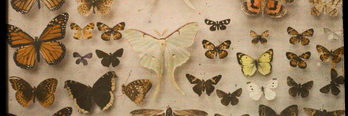 GozdeKeskek's profile banner image