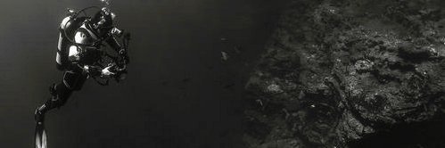 Lakisha N. Mack banner