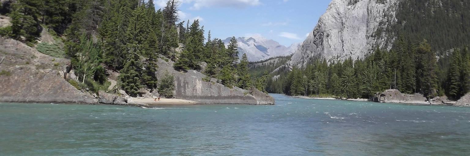 LilyDarvell's profile banner image