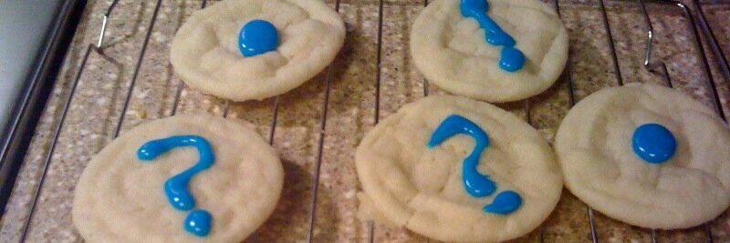 Gabriella West Edits banner