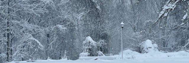 KristiRyans's profile banner image