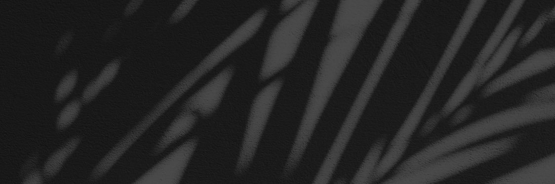 honiidu's profile banner image