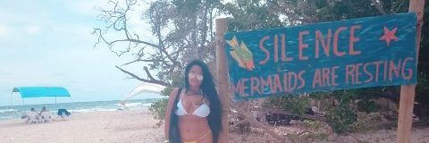 Liliamoca's profile banner image