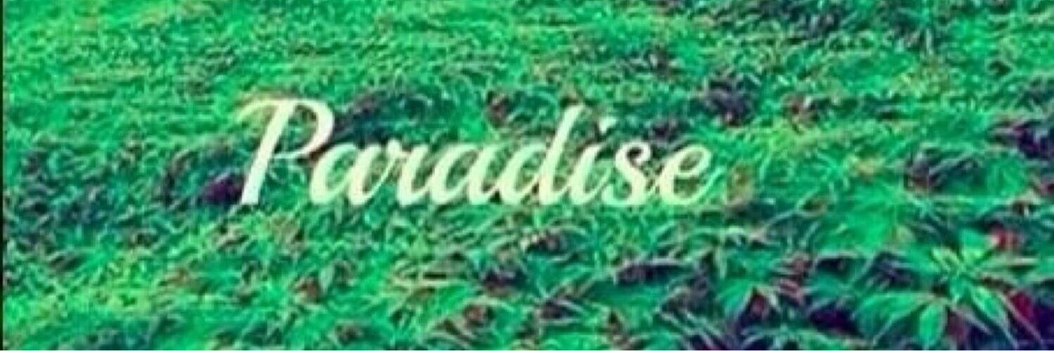 AustinSullivan7's profile banner image