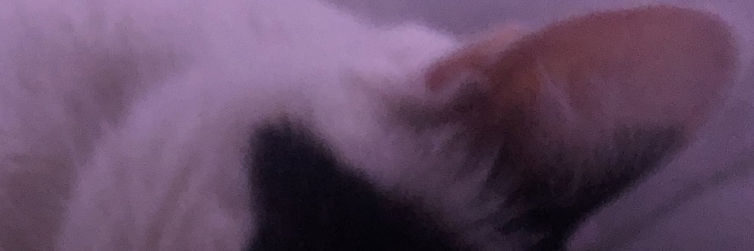 Littlextessa's profile banner image
