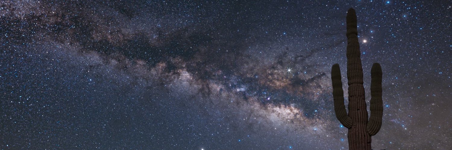 NFTpsyche's profile banner image