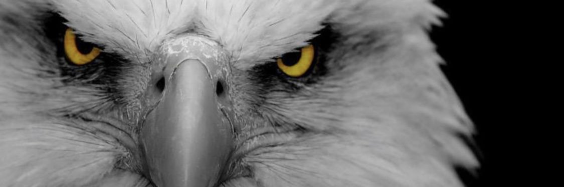 MerveeOruc's profile banner image