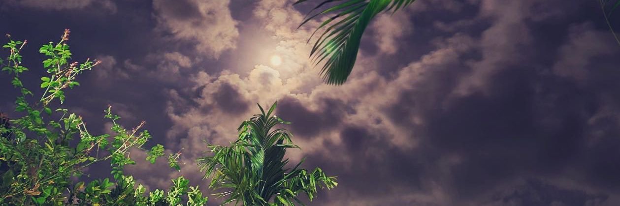 LifeOfJamo's profile banner image
