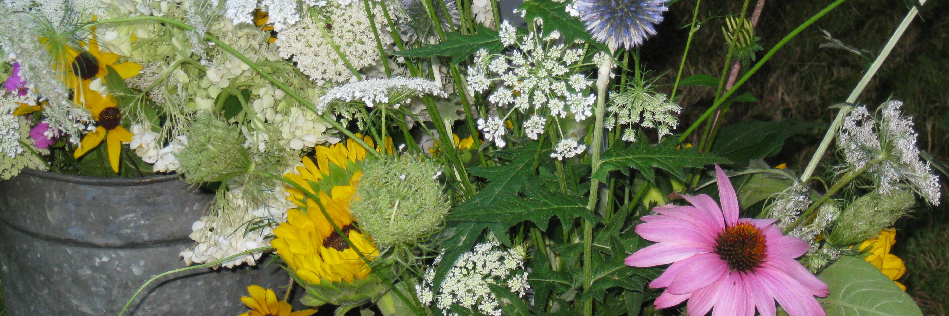 elke_bell's profile banner image