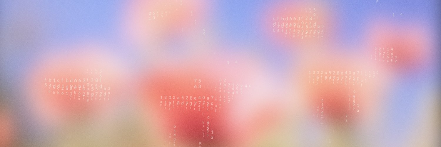 noahwebstrjames's profile banner image
