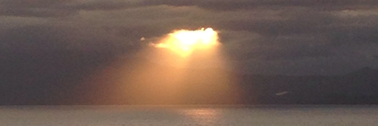 anpicerno's profile banner image