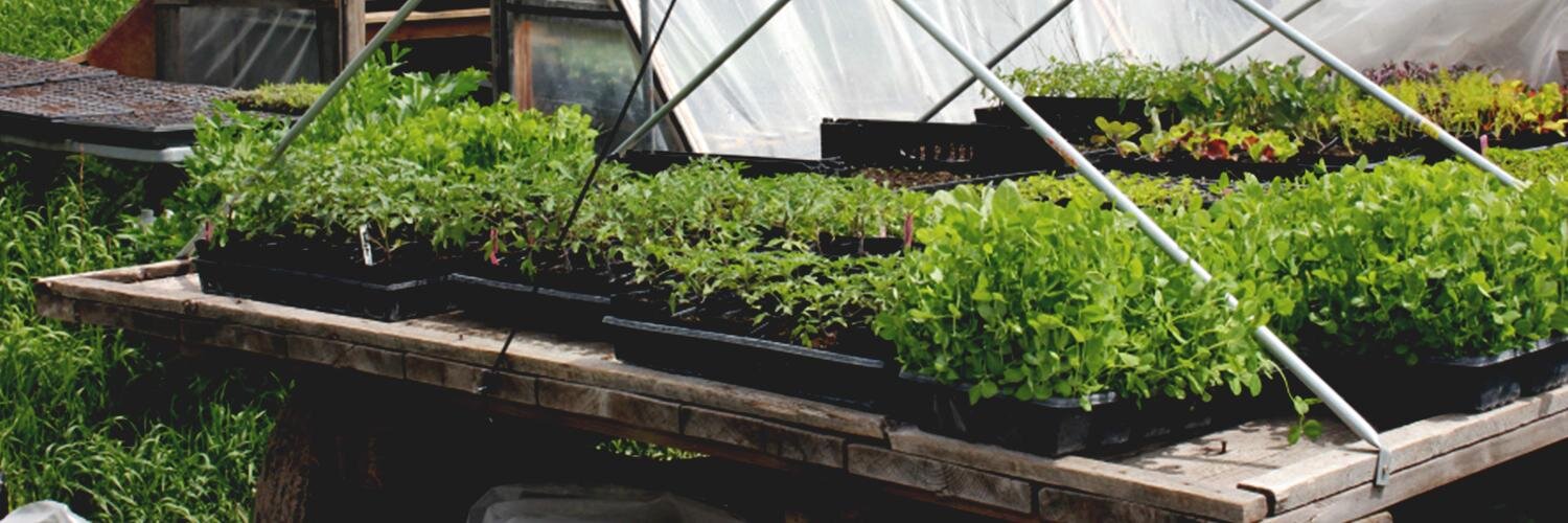 FarmtoTableWisconsin banner
