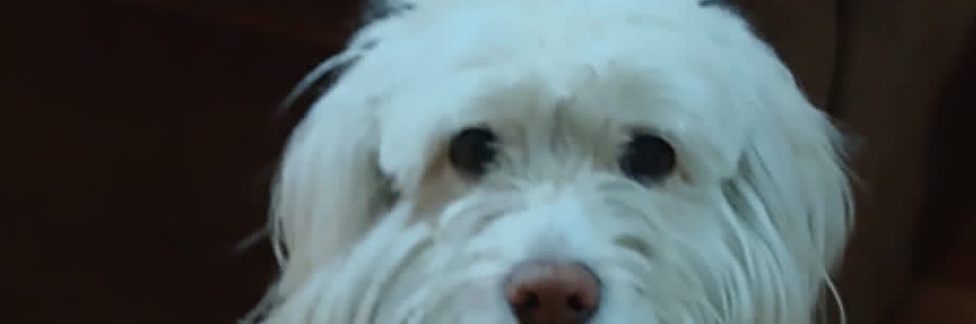 Kartman_'s profile banner image