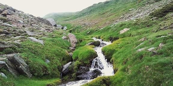 Antonio Gómez banner