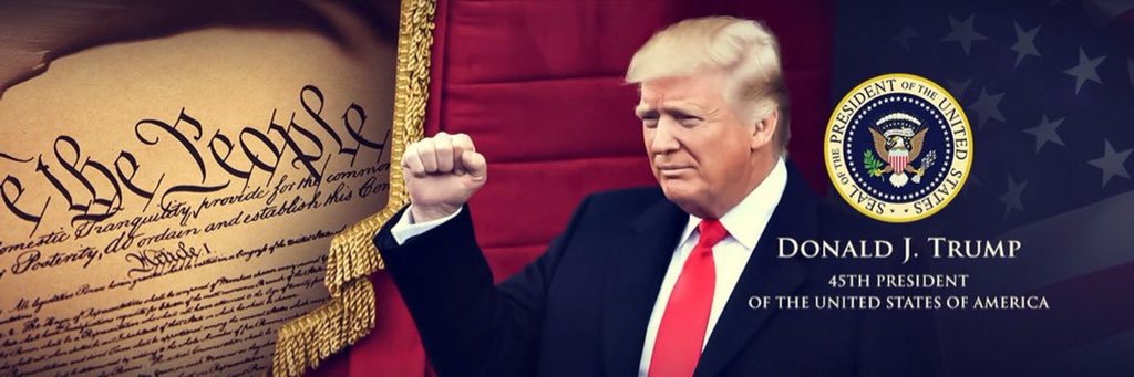 ❌Deplorable Davy banner