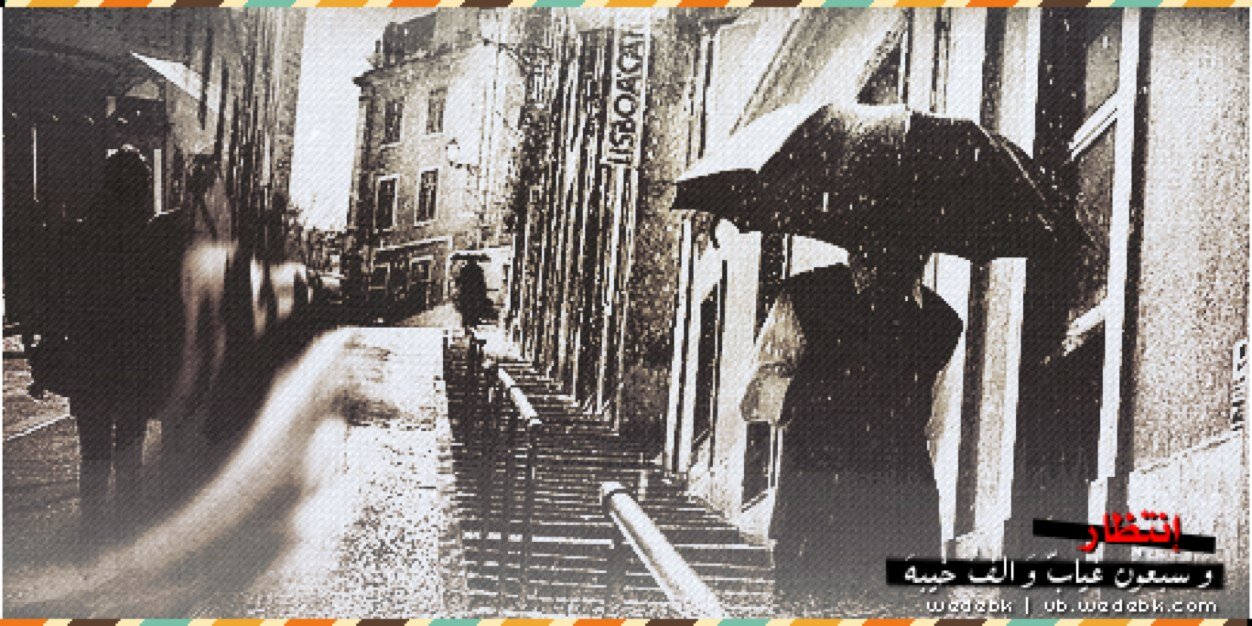meshal_oli's profile banner image